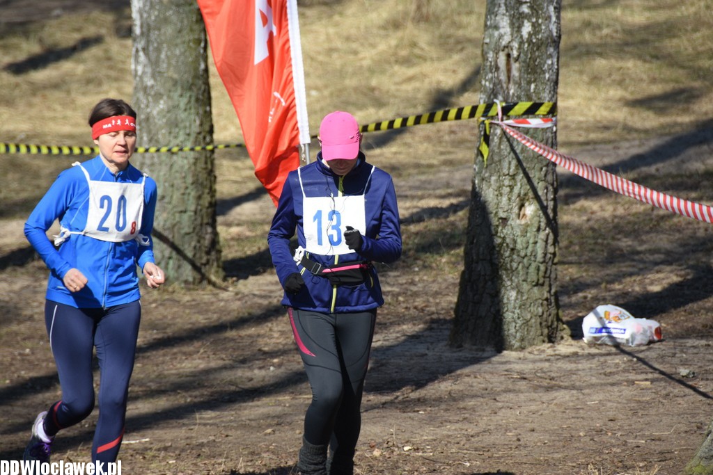Vladislavia Cross na Zawiślu