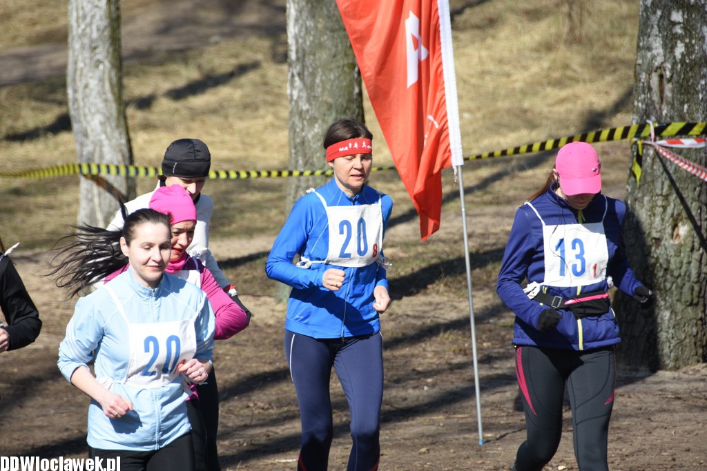 Vladislavia Cross na Zawiślu