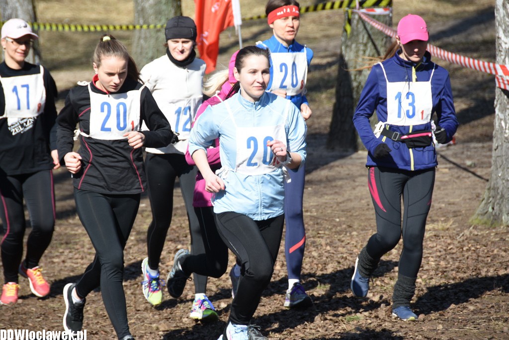 Vladislavia Cross na Zawiślu