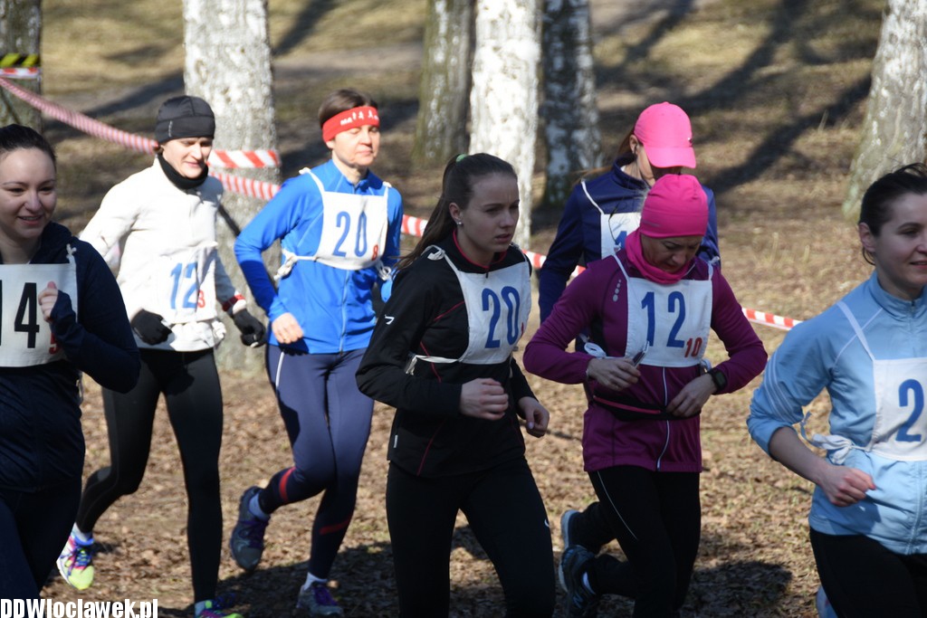 Vladislavia Cross na Zawiślu