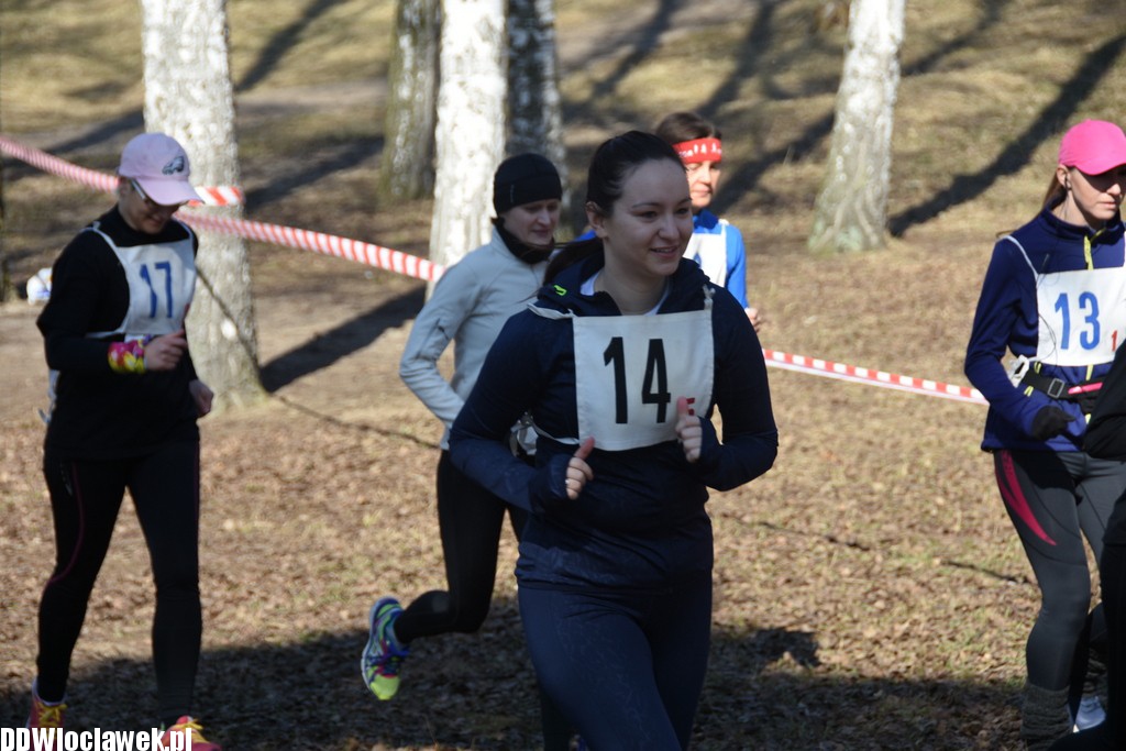 Vladislavia Cross na Zawiślu