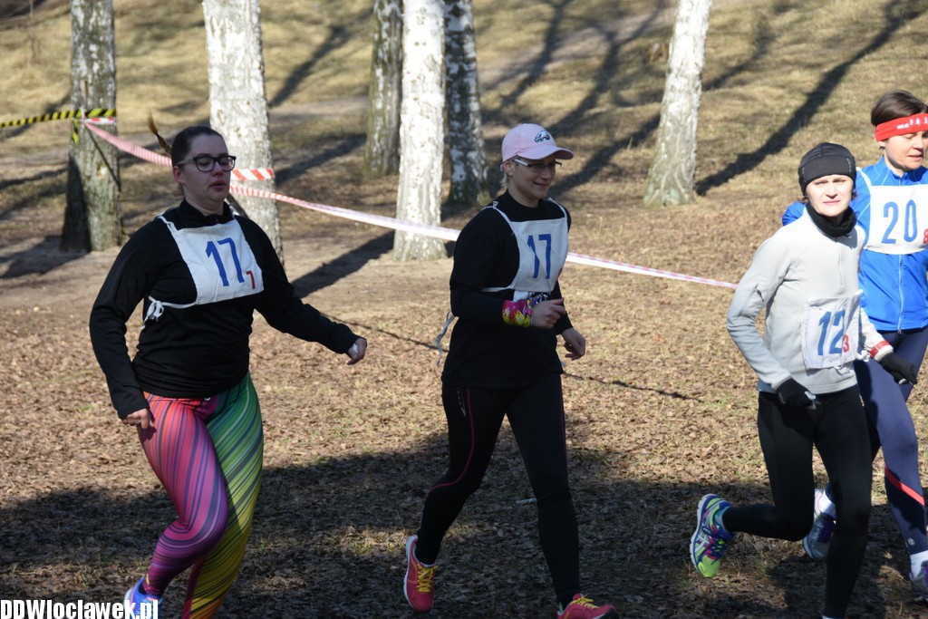 Vladislavia Cross na Zawiślu