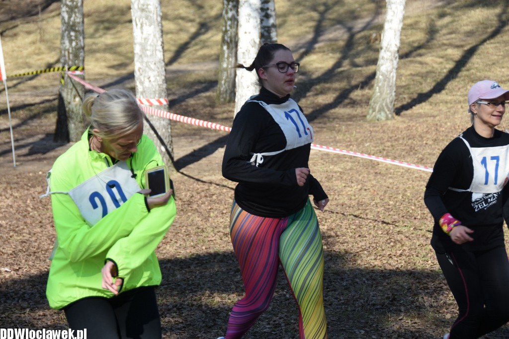 Vladislavia Cross na Zawiślu