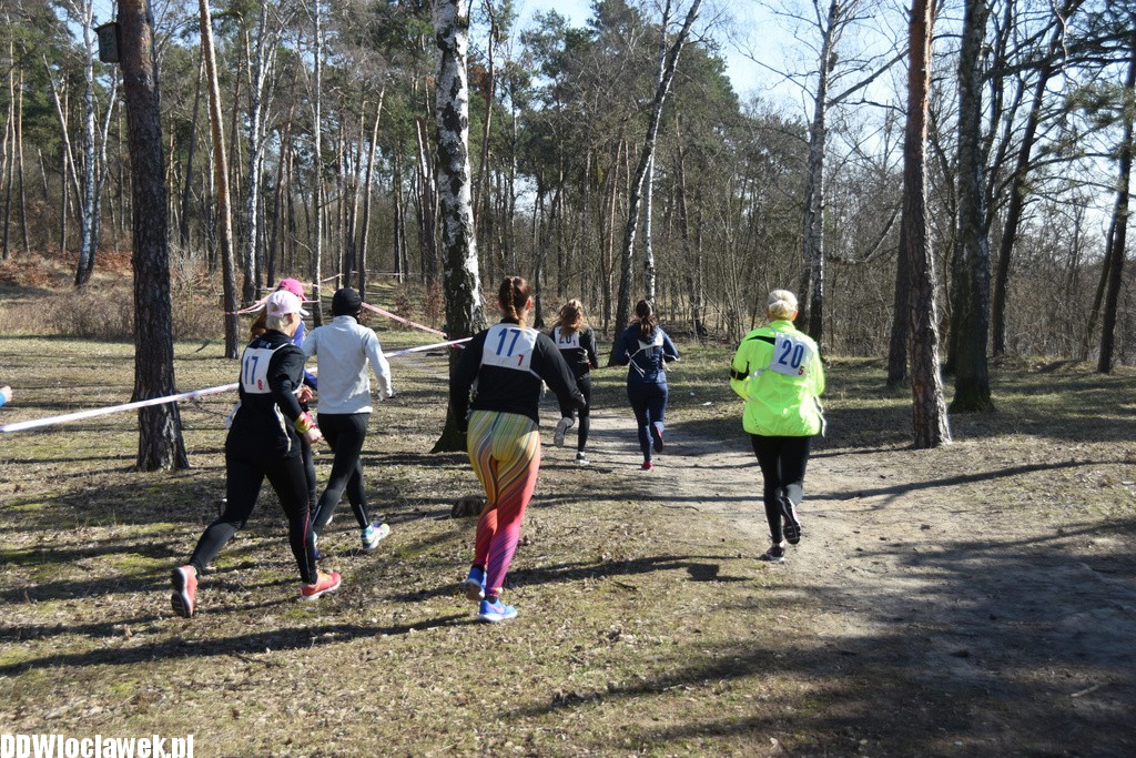 Vladislavia Cross na Zawiślu