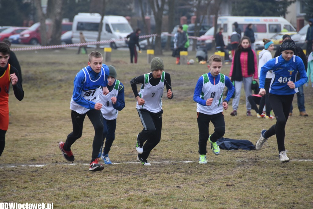 Zawody w biegach przełajowych