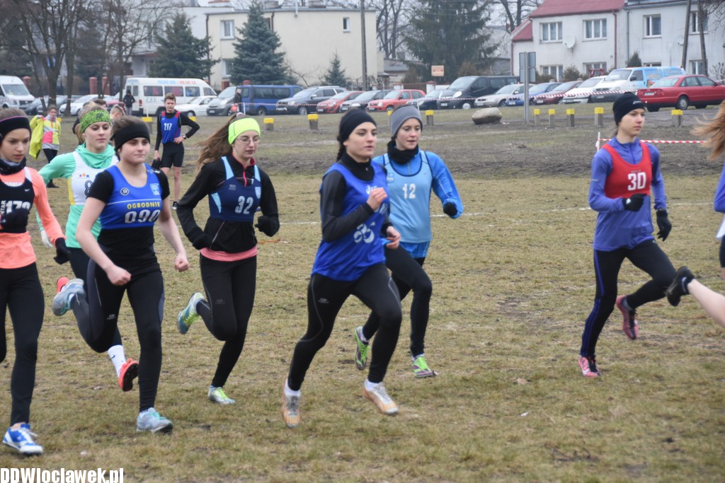 Zawody w biegach przełajowych