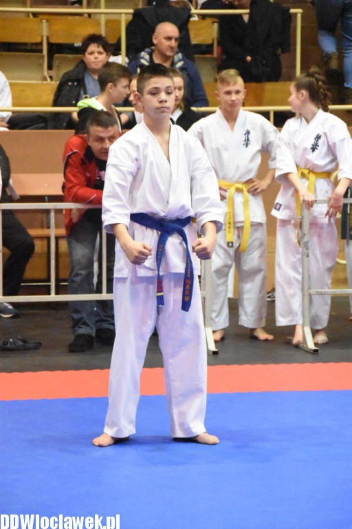 Mistrzostwa karate kyokushin