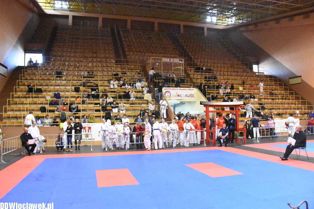 Mistrzostwa karate kyokushin
