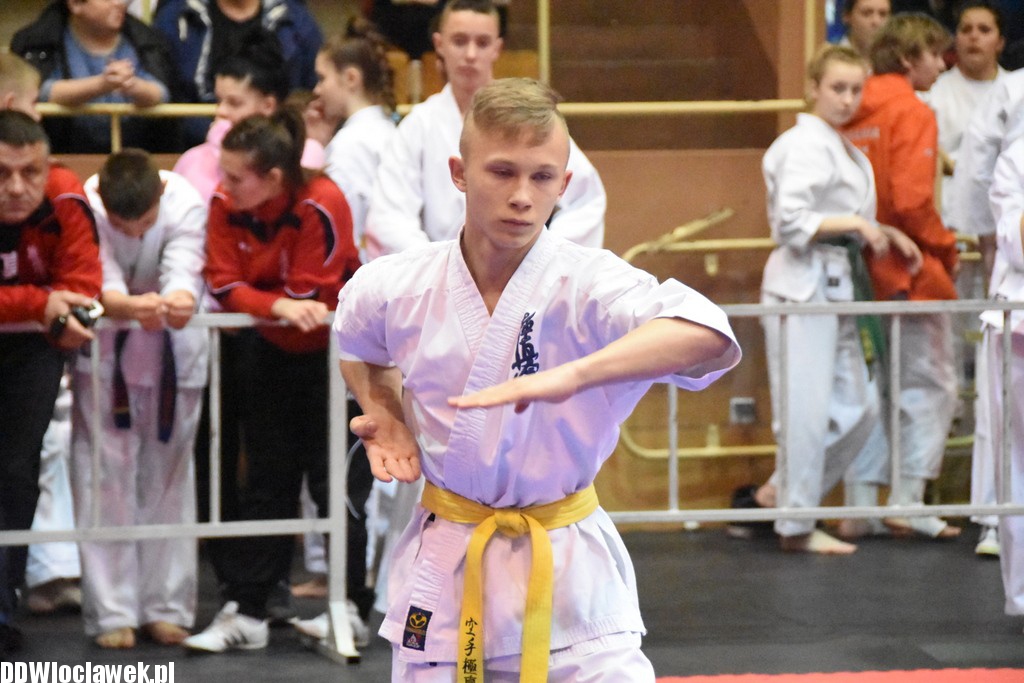 Mistrzostwa karate kyokushin