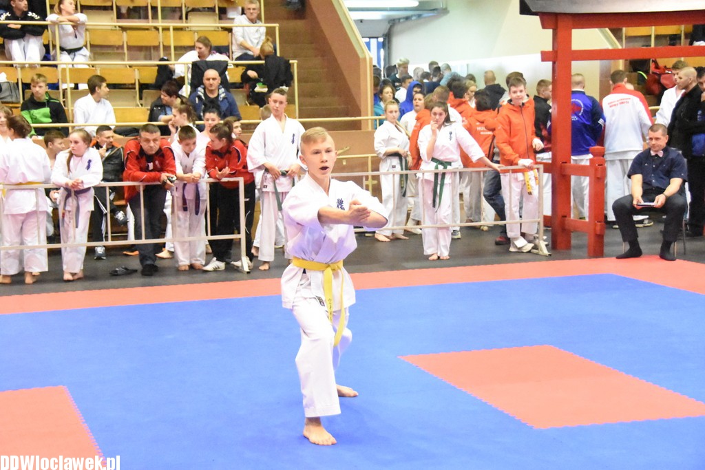 Mistrzostwa karate kyokushin