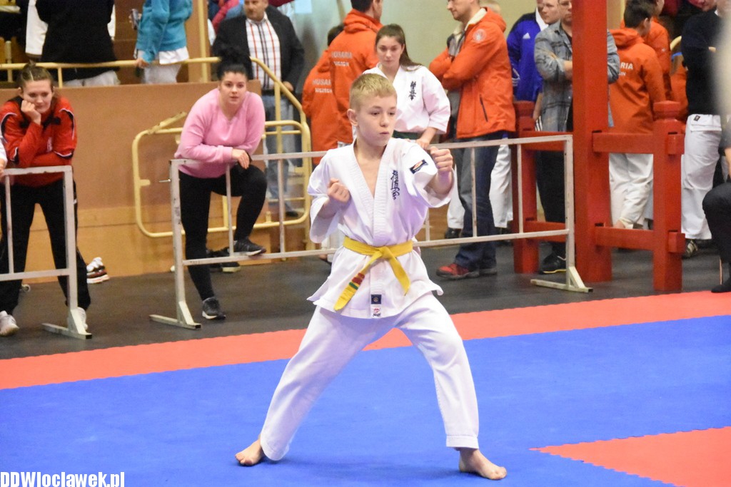 Mistrzostwa karate kyokushin