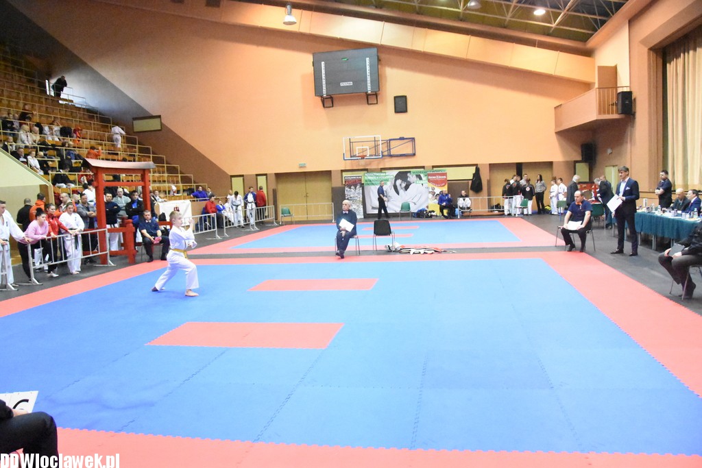 Mistrzostwa karate kyokushin