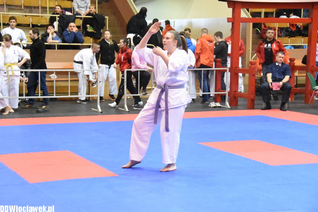 Mistrzostwa karate kyokushin