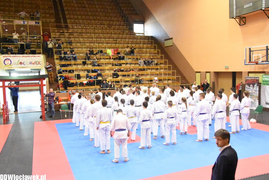 Mistrzostwa karate kyokushin