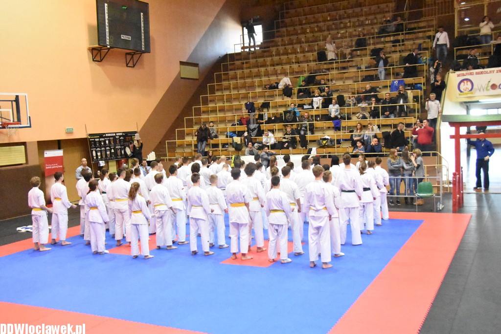 Mistrzostwa karate kyokushin