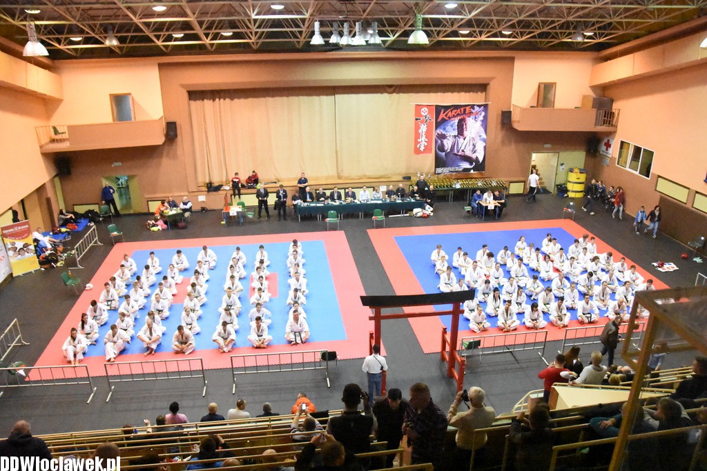 Mistrzostwa karate kyokushin