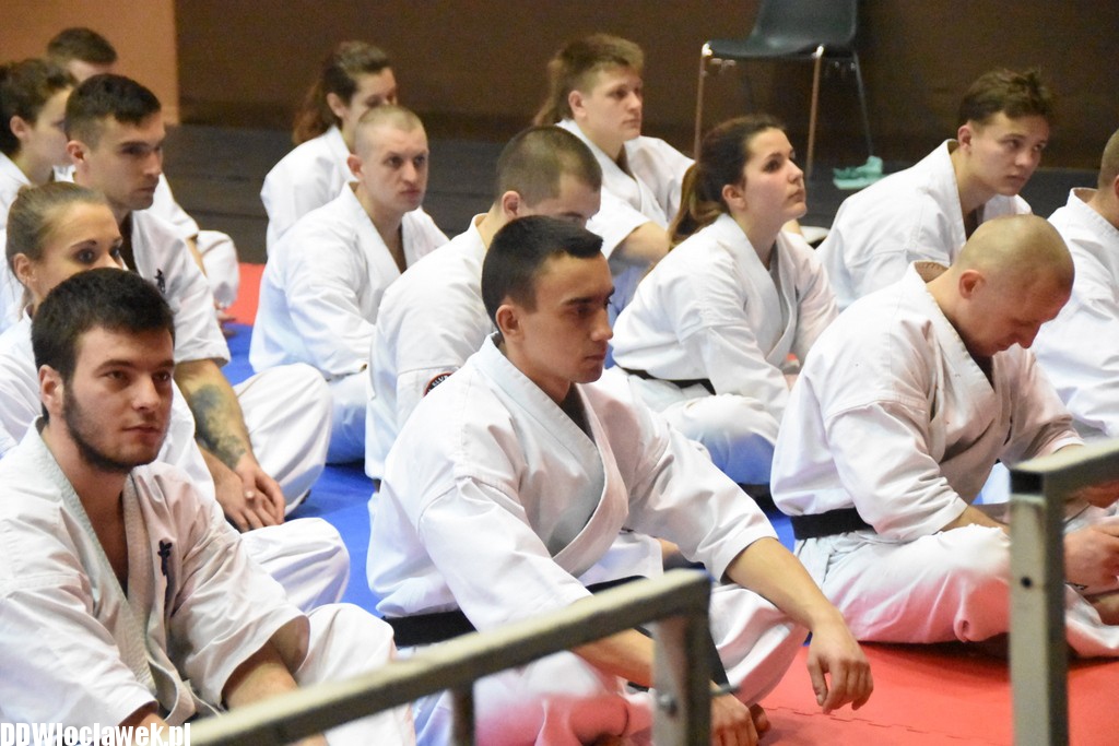 Mistrzostwa karate kyokushin