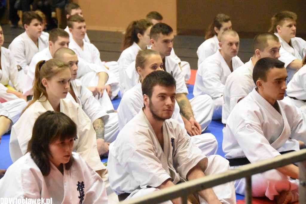 Mistrzostwa karate kyokushin