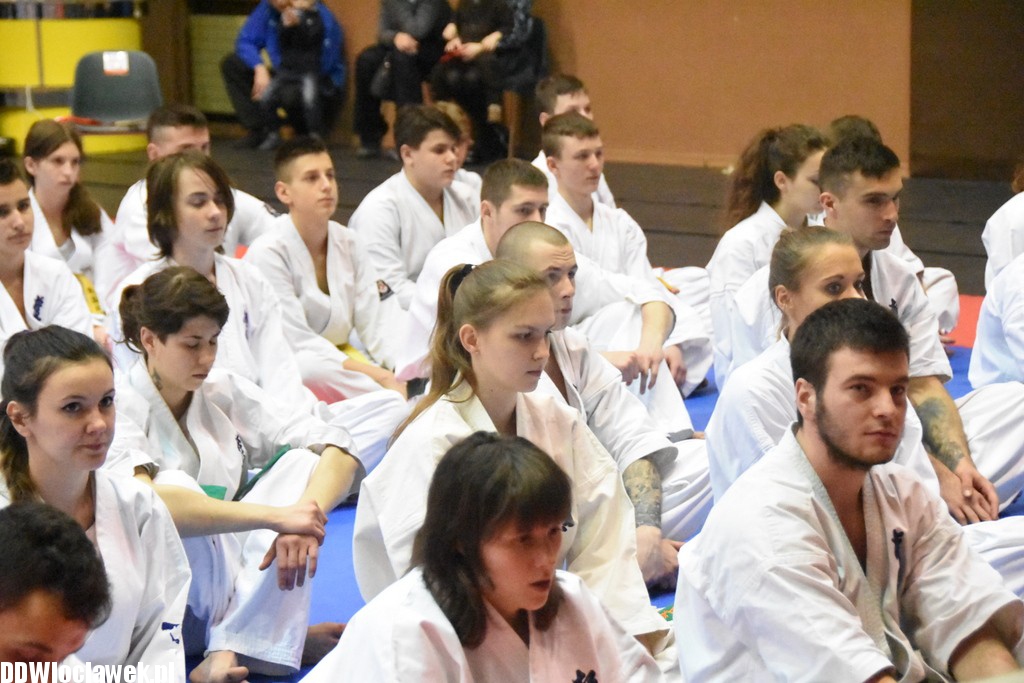 Mistrzostwa karate kyokushin