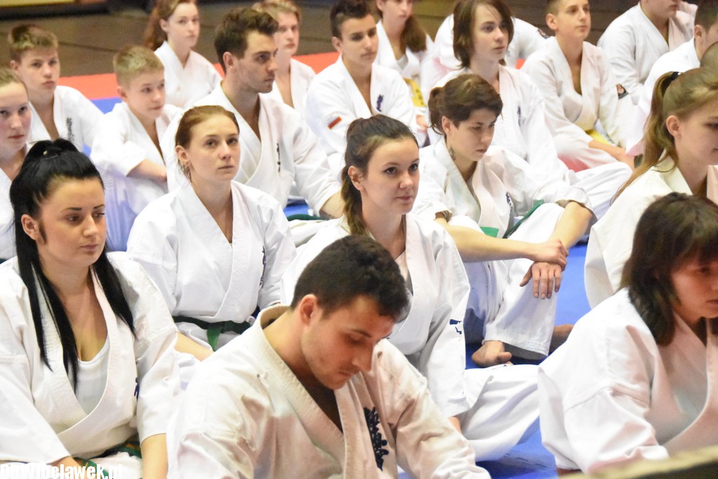 Mistrzostwa karate kyokushin