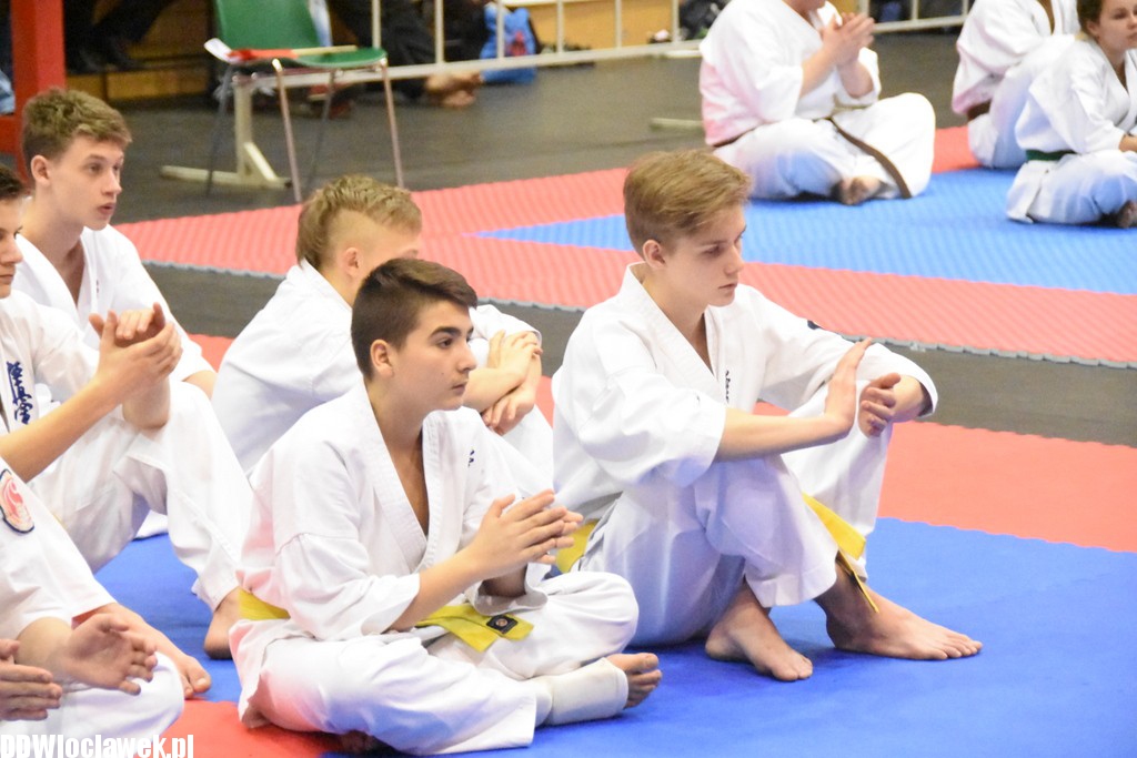 Mistrzostwa karate kyokushin