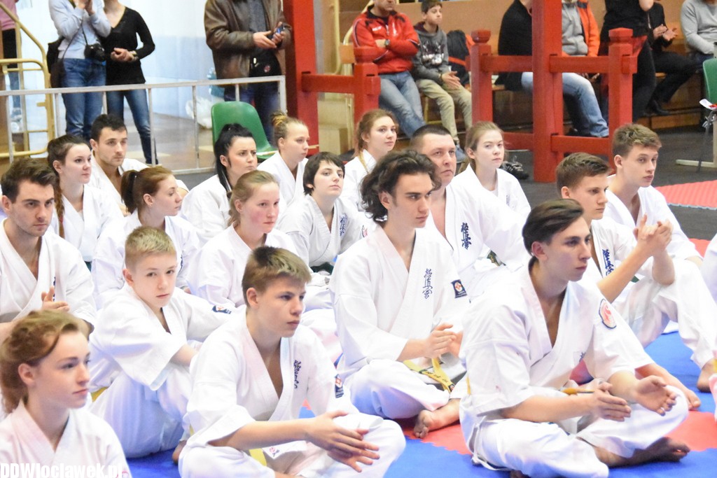 Mistrzostwa karate kyokushin
