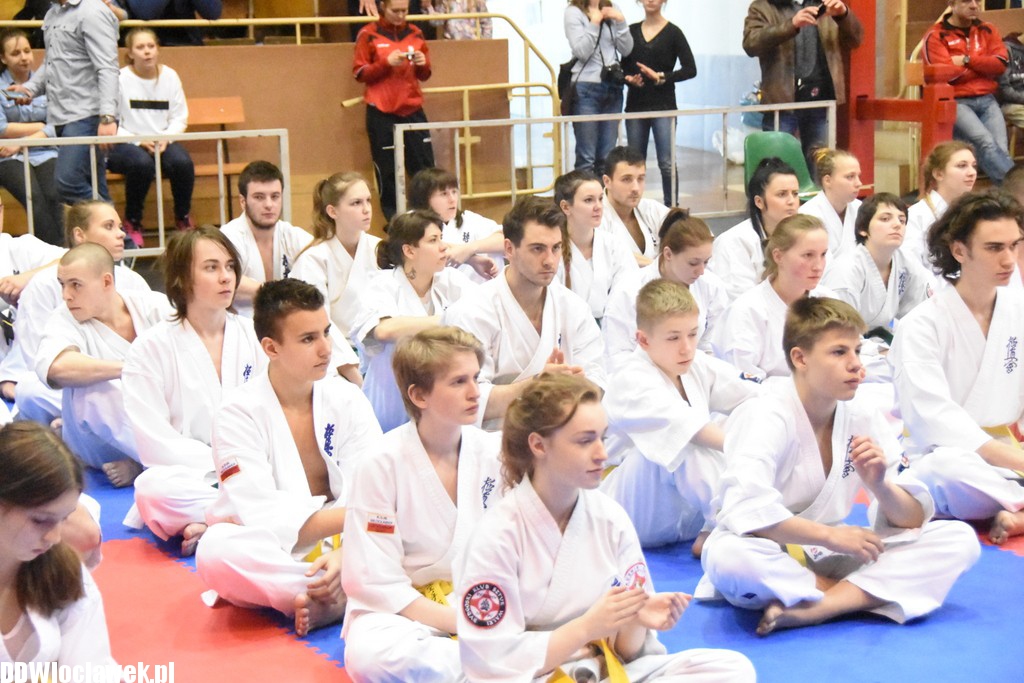 Mistrzostwa karate kyokushin