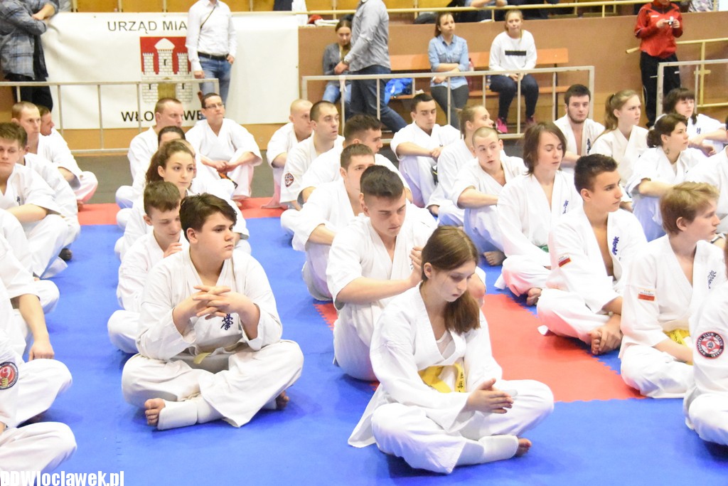 Mistrzostwa karate kyokushin