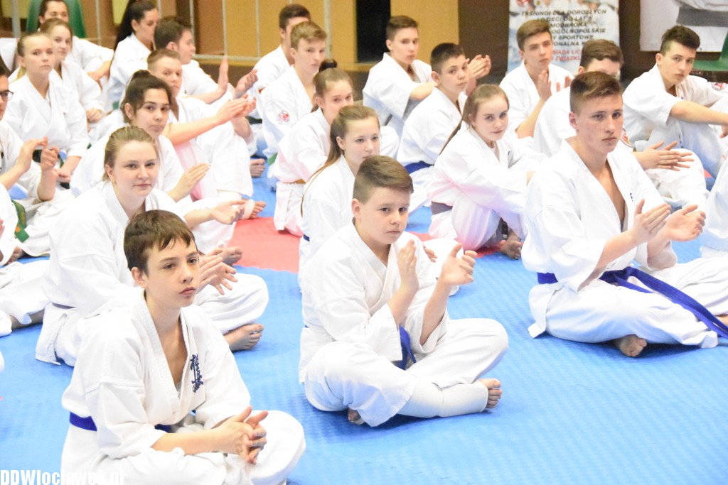 Mistrzostwa karate kyokushin