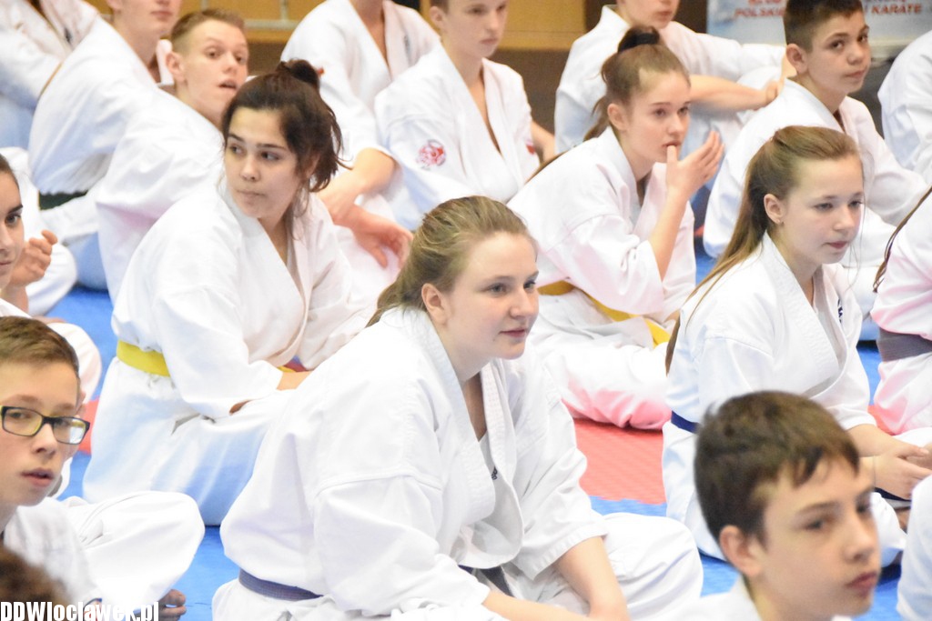 Mistrzostwa karate kyokushin