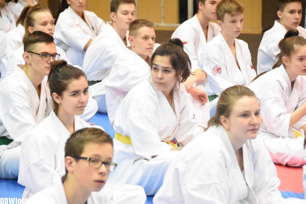 Mistrzostwa karate kyokushin