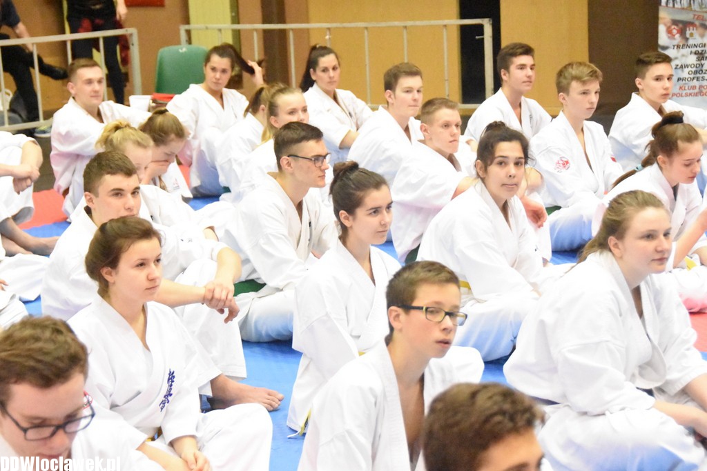 Mistrzostwa karate kyokushin