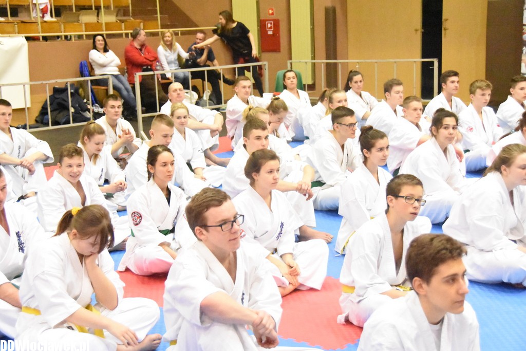 Mistrzostwa karate kyokushin