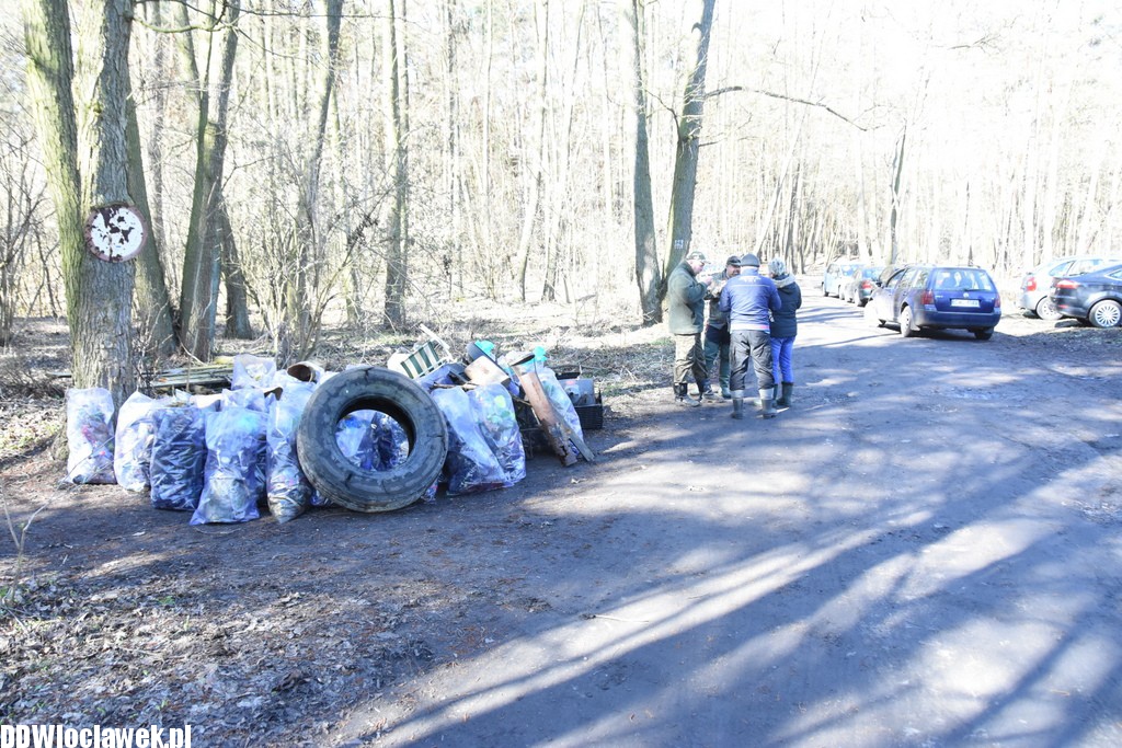 Sprzątanie jeziora Rybnica