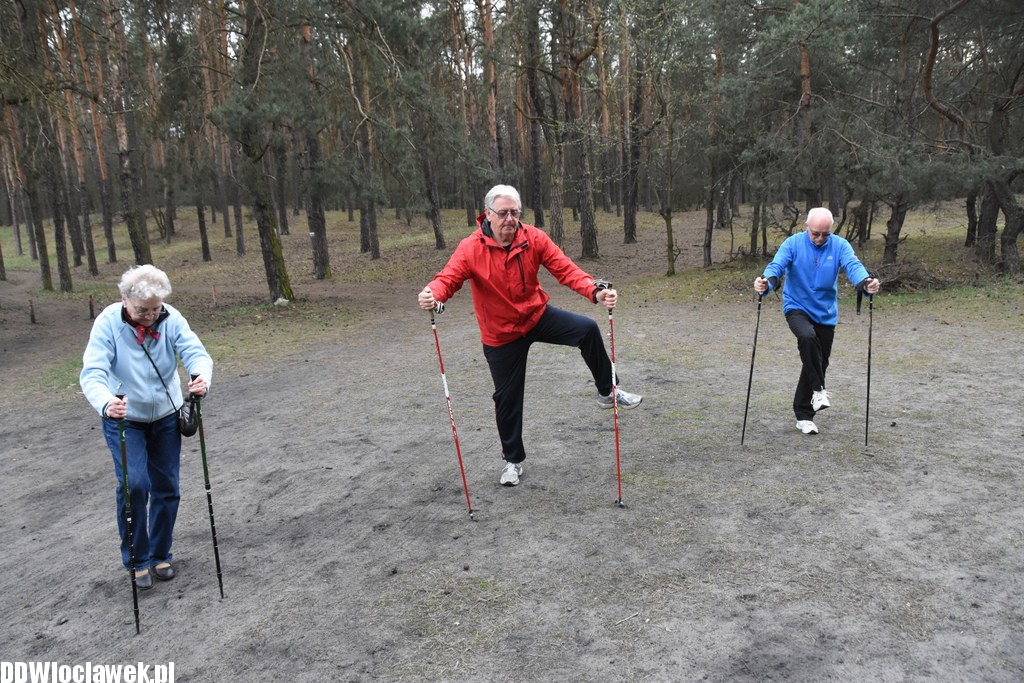 Marsz nordic walking we Włocławku