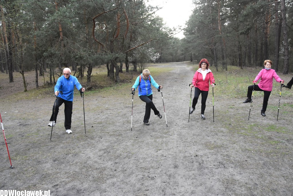 Marsz nordic walking we Włocławku