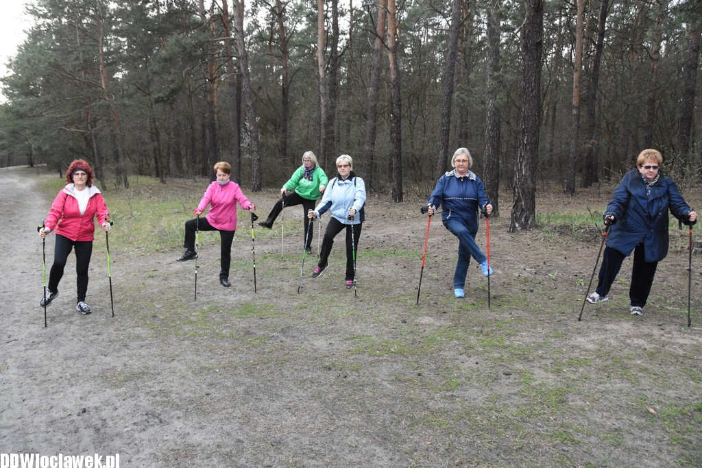 Marsz nordic walking we Włocławku