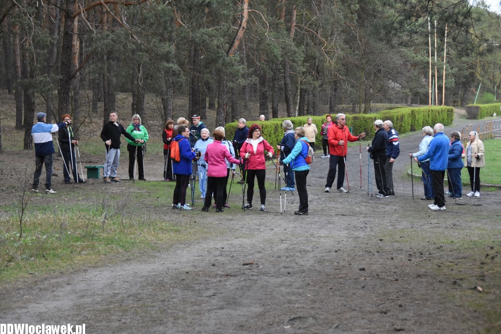 Marsz nordic walking we Włocławku
