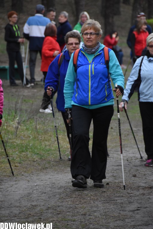 Marsz nordic walking we Włocławku