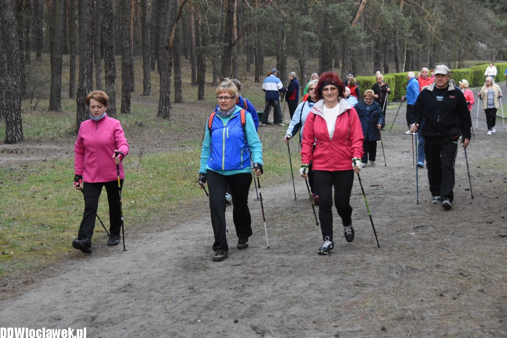 Marsz nordic walking we Włocławku