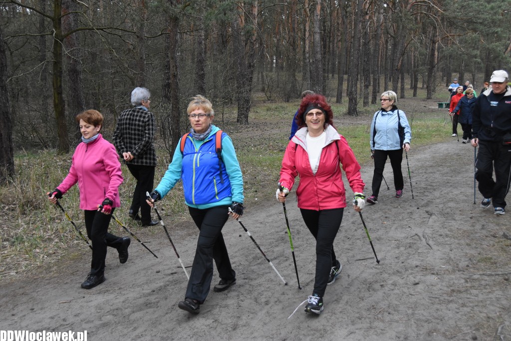 Marsz nordic walking we Włocławku