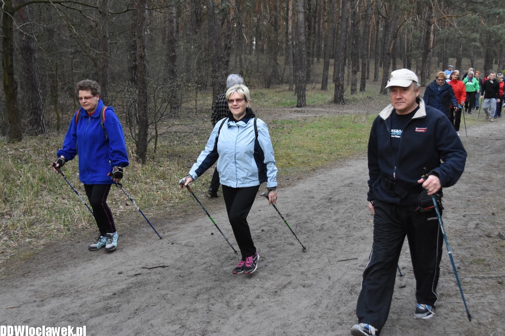 Marsz nordic walking we Włocławku