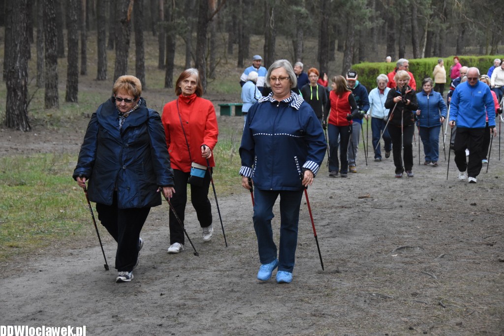 Marsz nordic walking we Włocławku