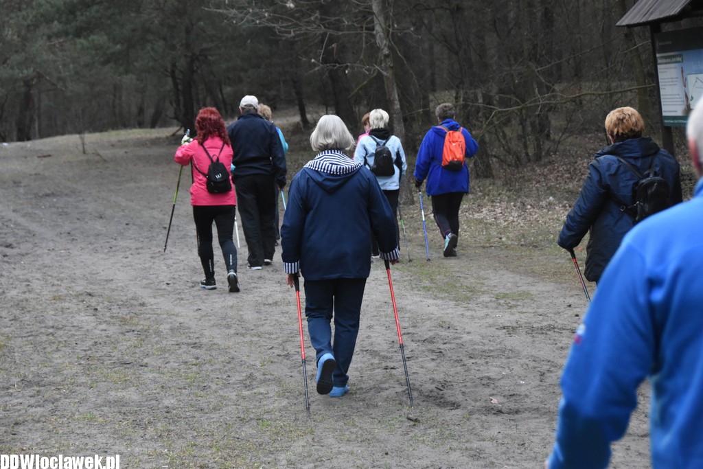 Marsz nordic walking we Włocławku