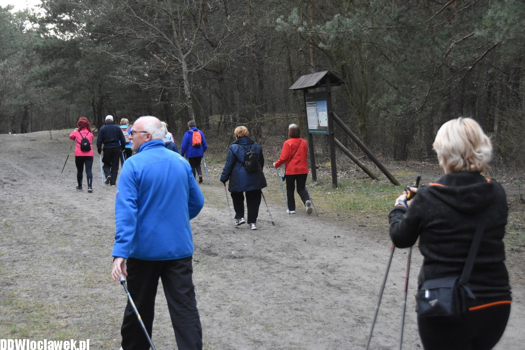 Marsz nordic walking we Włocławku