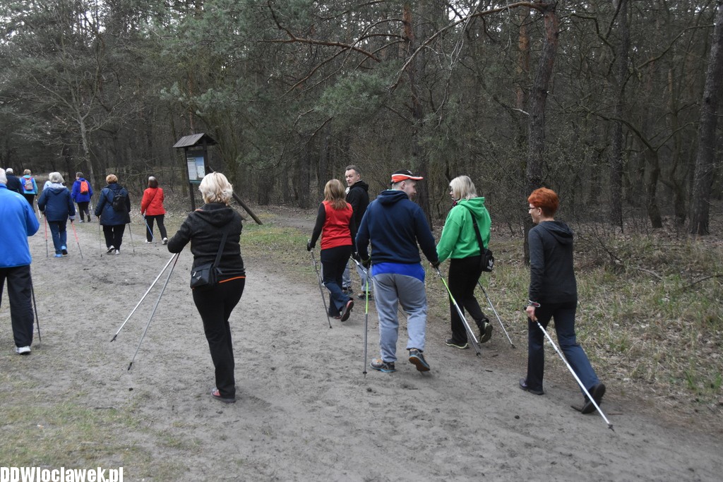 Marsz nordic walking we Włocławku