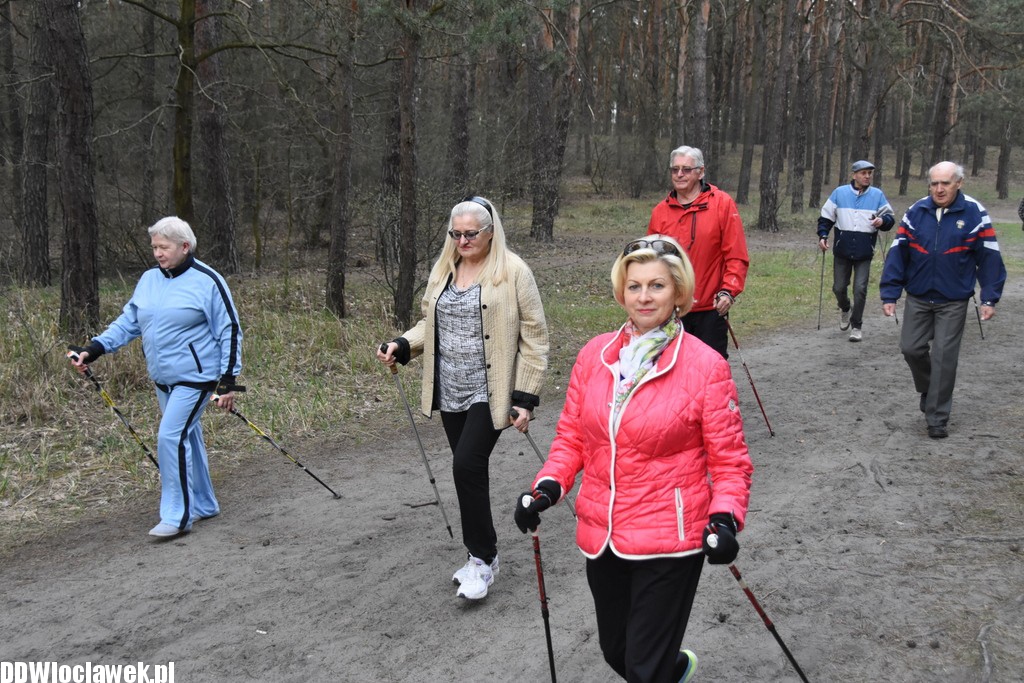 Marsz nordic walking we Włocławku