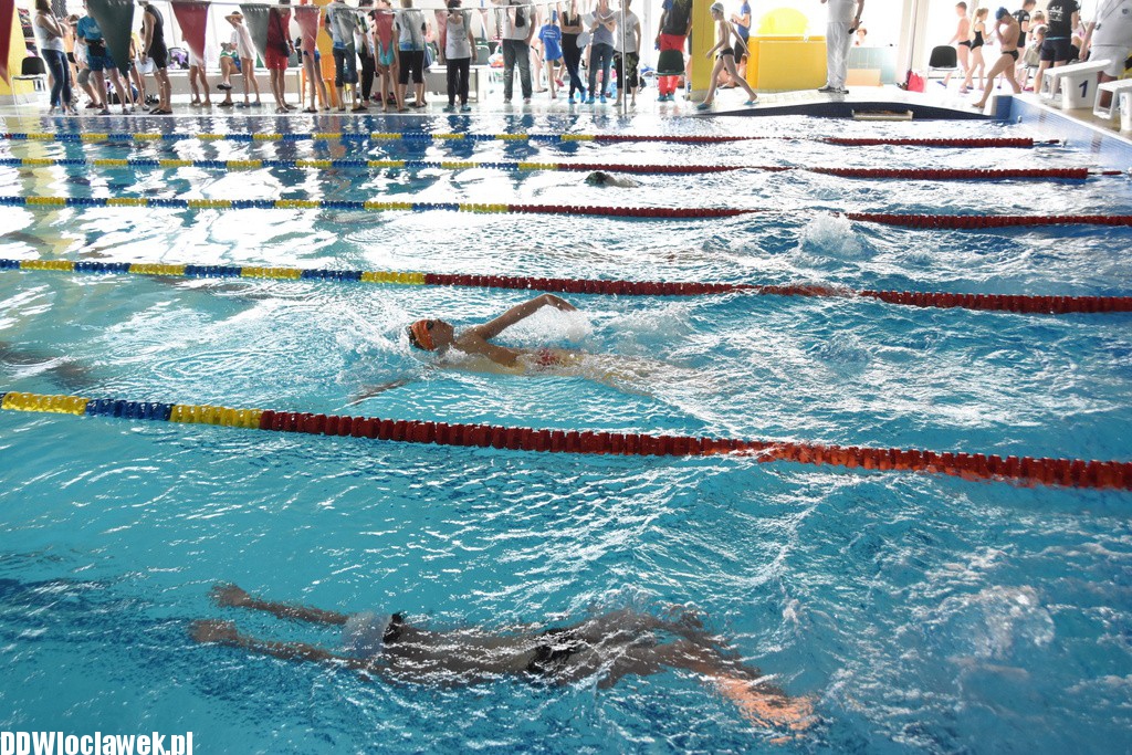 Grand Prix Włocławka w pływaniu