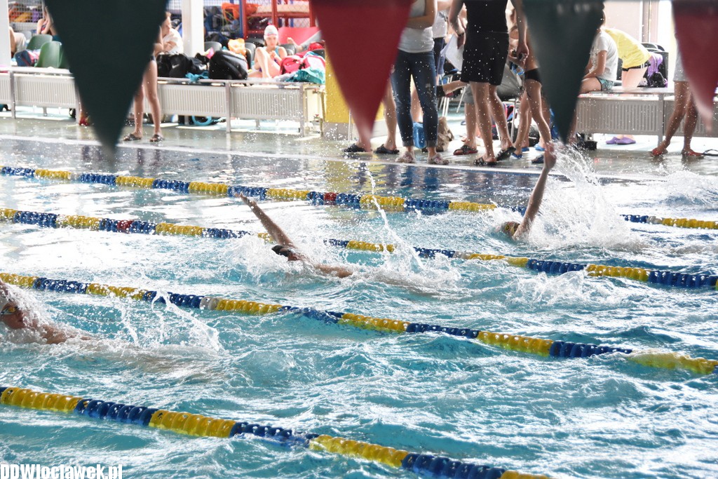 Grand Prix Włocławka w pływaniu