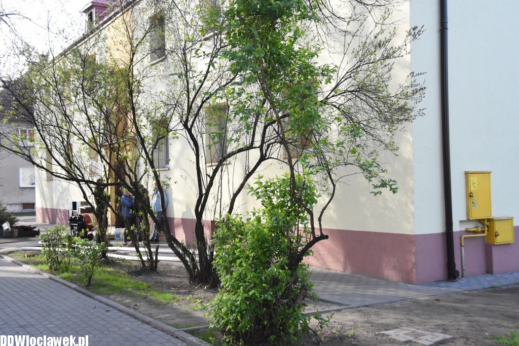 Akcja strażaków na ul. Chmielnej